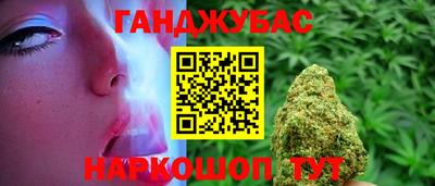 сатива Гагарин