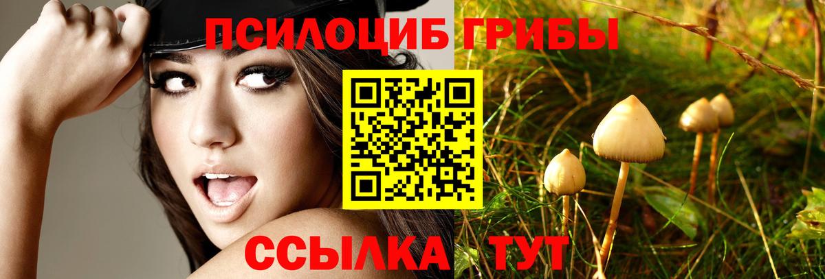 Салехард  Галлюциногенные грибы GOLDEN TEACHER  Псилоцибиновые грибы ЛСД  Вход с VPN 